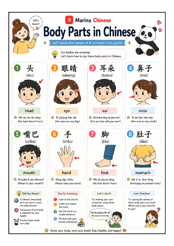 Printable Chinese vocabulary sheet — Body Parts in Chinese