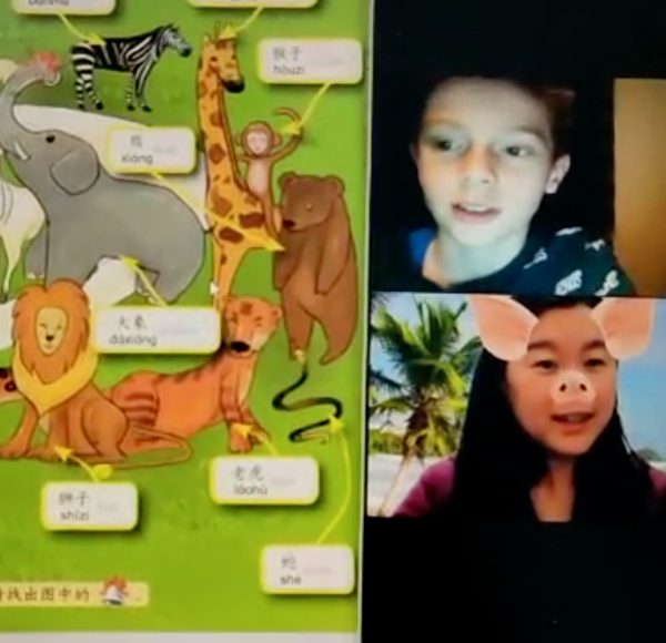 Kids learning Chinese animals